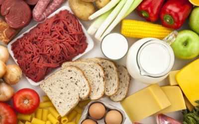 ALIMENTOS RICOS EN CARBOHIDRATOS, PROTEÍNAS Y GRASAS