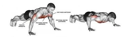¿QUIERES HACER FLEXIONES?